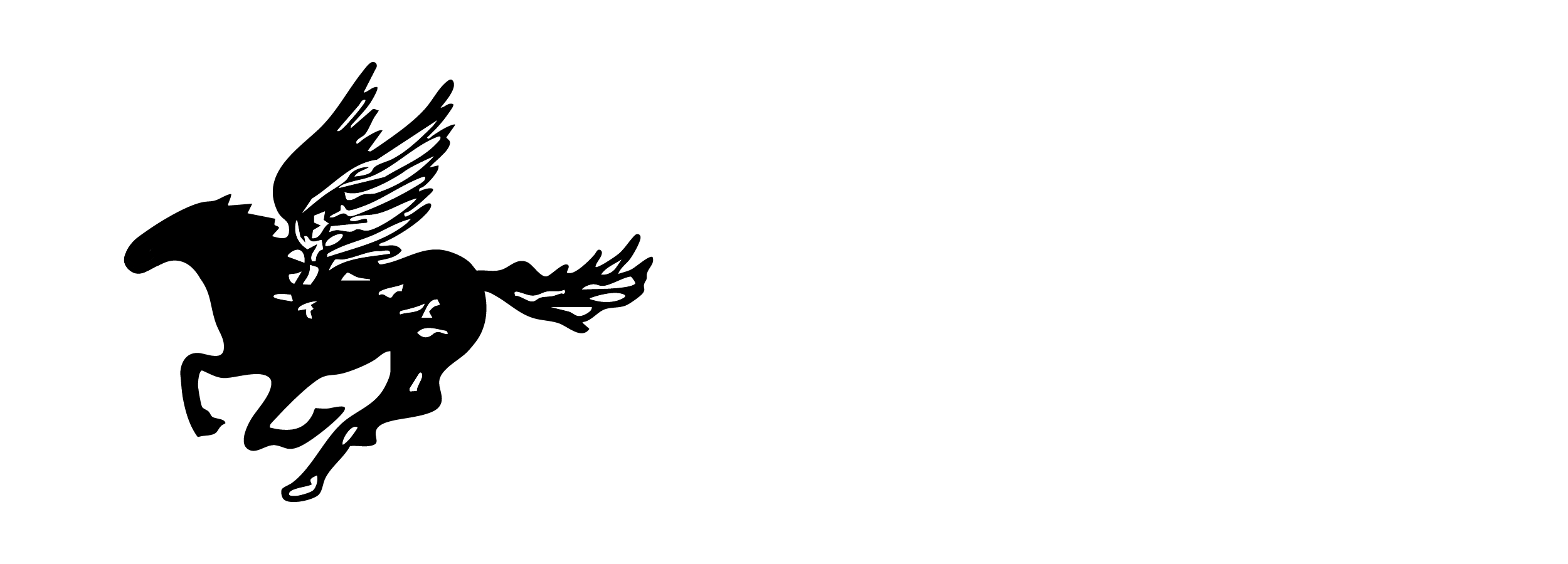 Black Flying Horse with White Wings